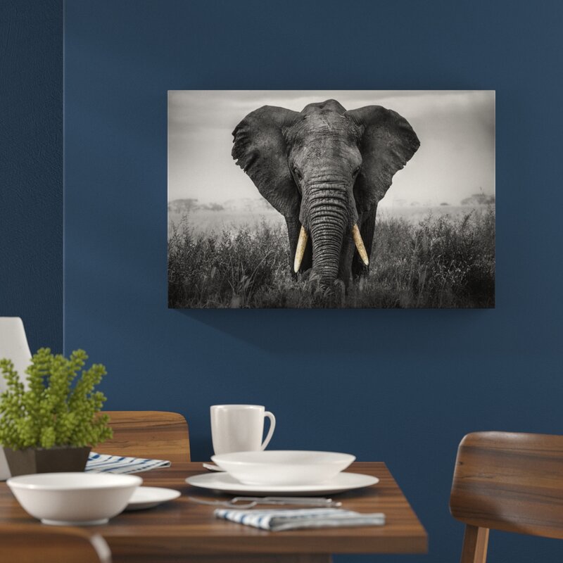 Pixxprint Graceful Elephant Wall Art on Canvas & Reviews Wayfair.co.uk